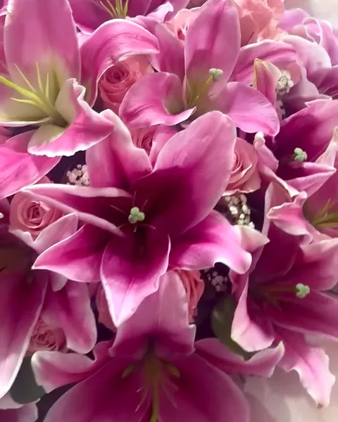 Close up of pink stargazer lilies and roses